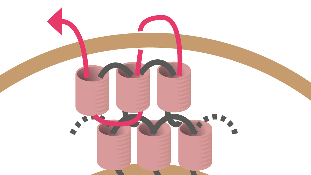 Collar Miyuki con colgante redondo Brick Stitch : Paso 9