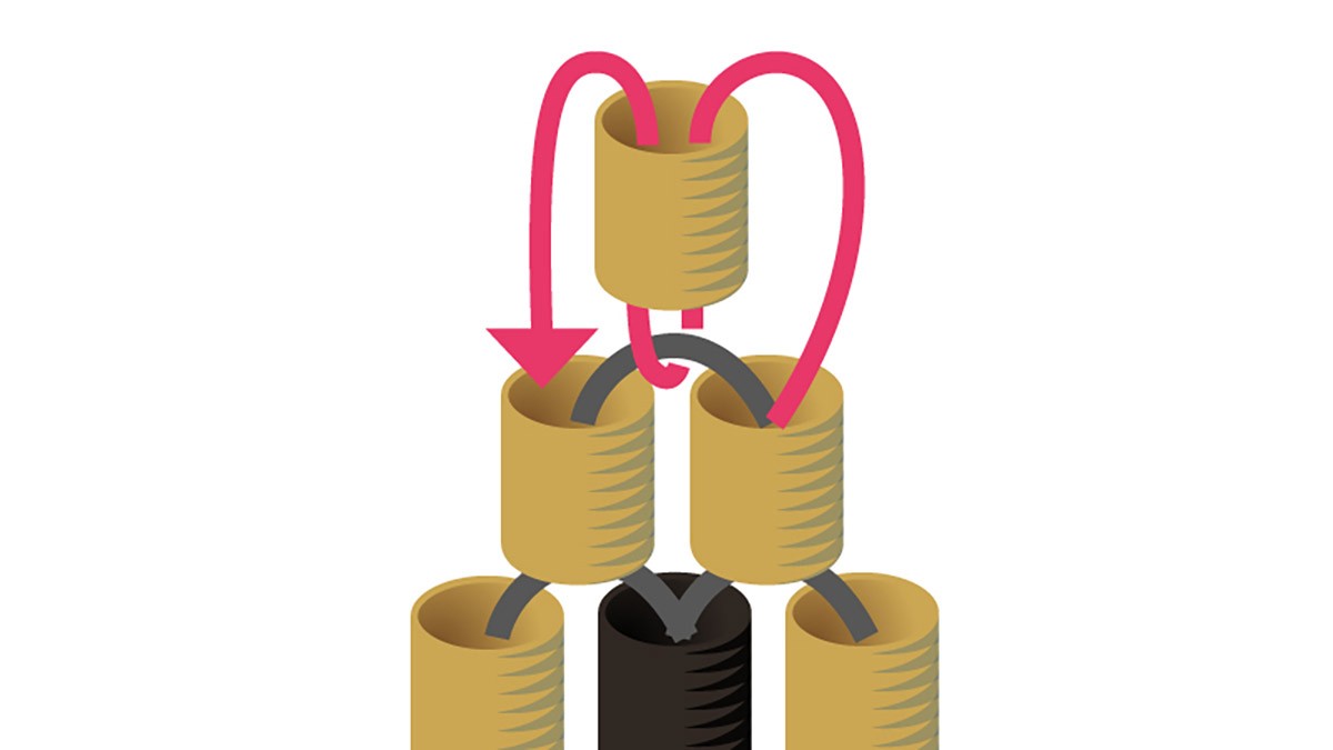 Collar Miyuki de rejilla tejida en Brick Stitch negro y dorado : Paso 7