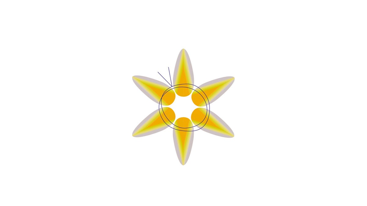 Pulsera de mujer con Cuentas de cristal Preciosa Chilli : Paso 4