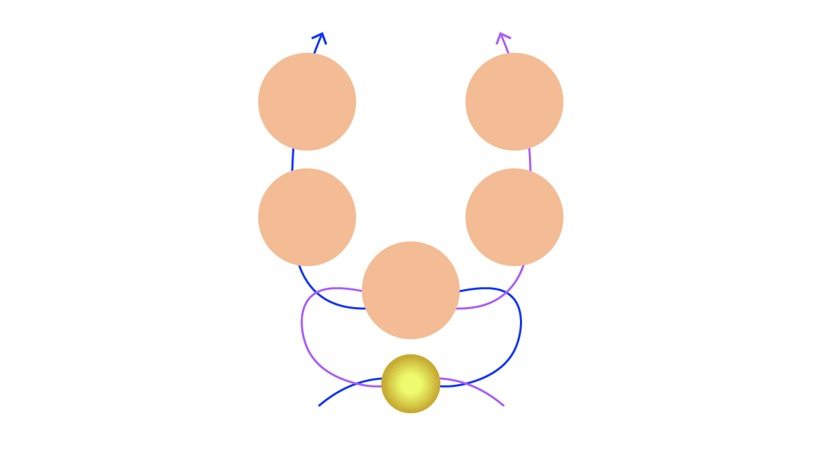 Preciosa pulsera de piedras preciosas y flor de peonza : Paso 2