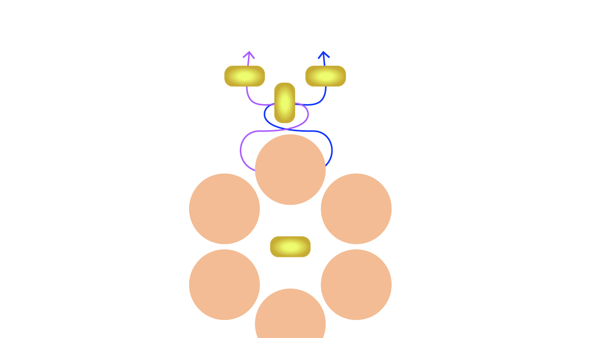 Preciosa pulsera de piedras preciosas y flor de peonza : Paso 6