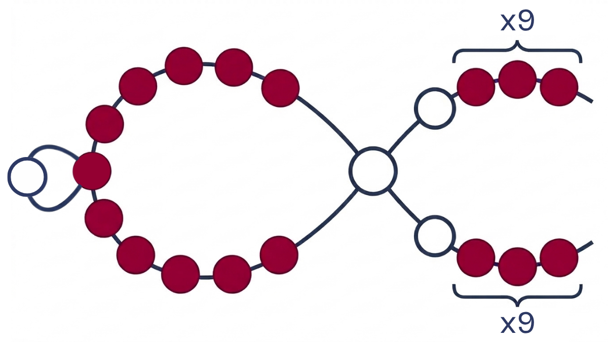 Collar Miyuki 6/0 de abalorios de rocalla en tejido de flores : Paso 4