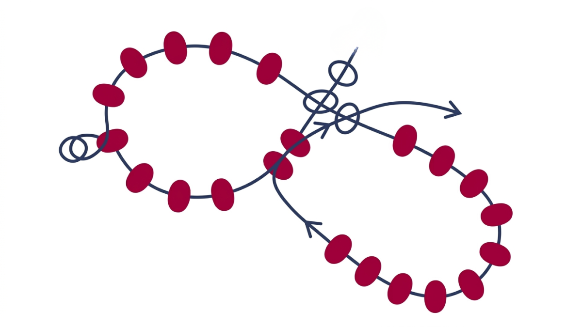 Collar flor Miyuki 6/0 semillas : Paso 5