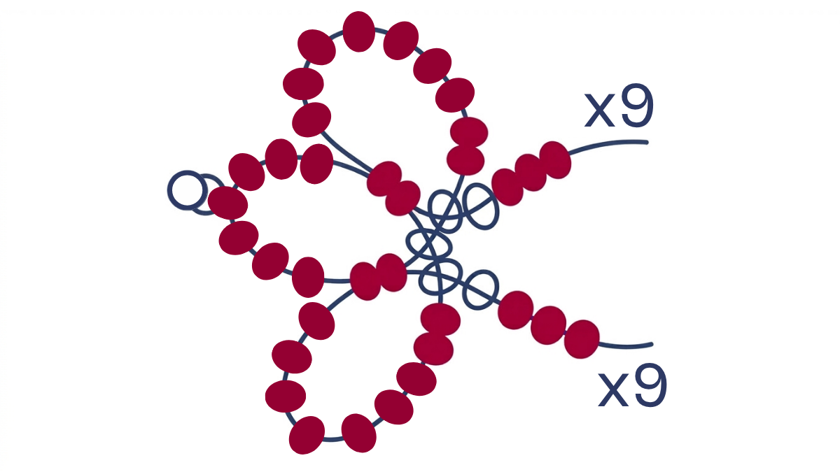 Collar Miyuki 6/0 de abalorios de rocalla en tejido de flores : Paso 6