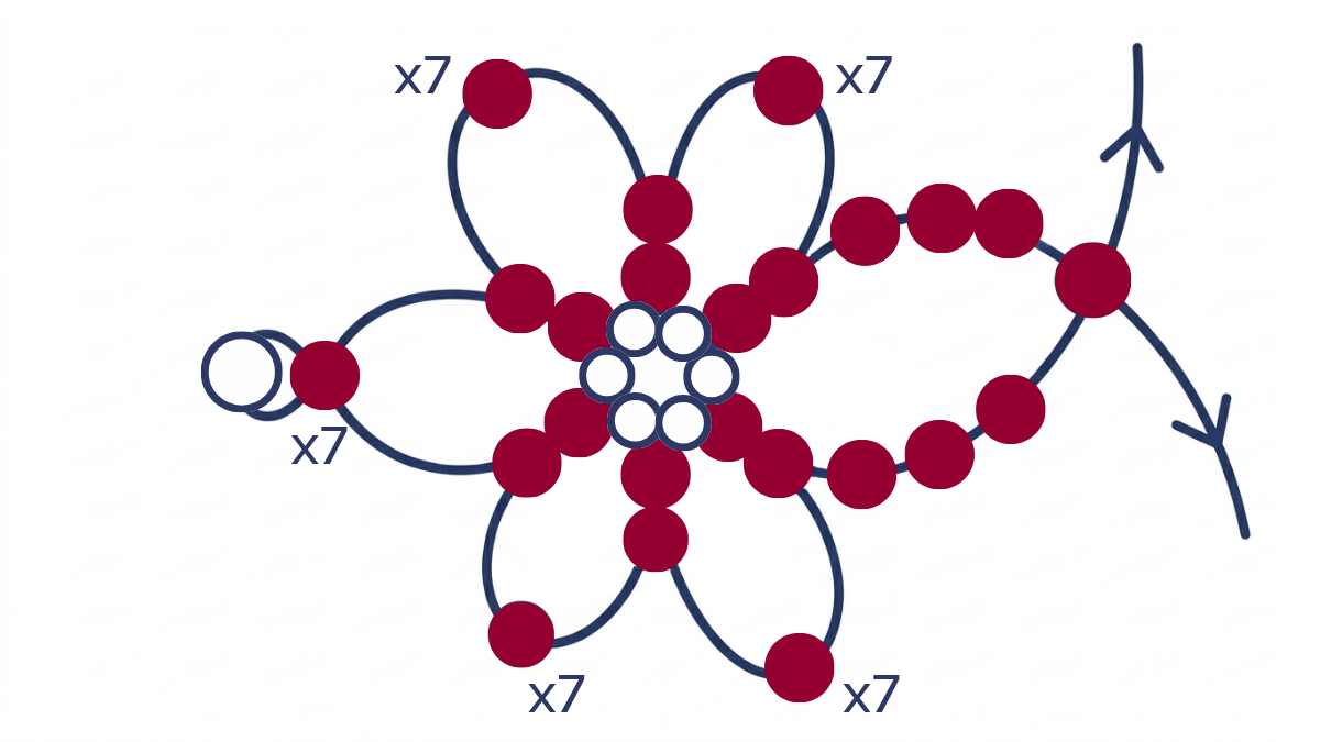 Collar flor Miyuki 6/0 semillas : Paso 9