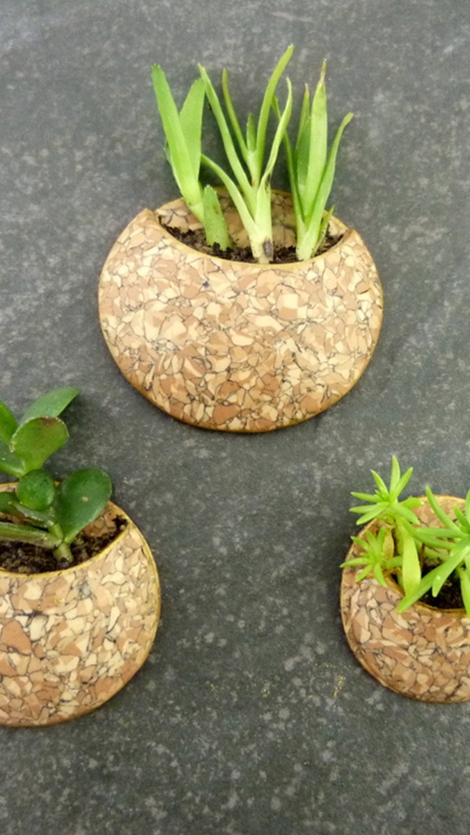 Esquema imitación polímero planta Holder Liege Esquema imitación polímero planta Holder Liege