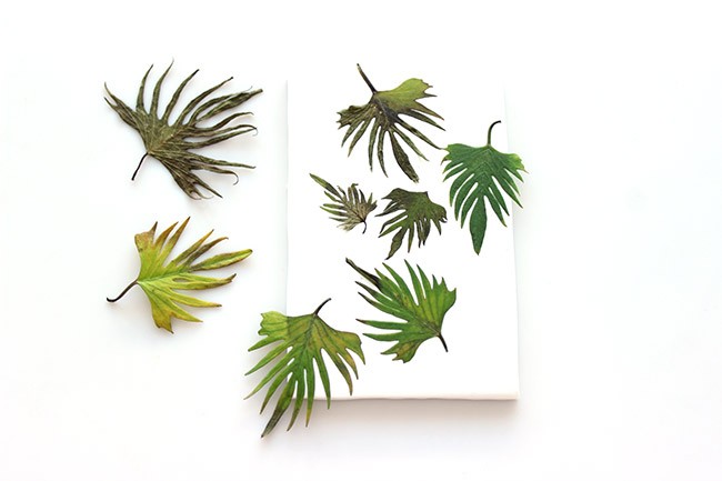 Brusho marcador en Fimo : Paso 1 Brusho marcador en Fimo : Paso 1